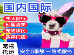 赛乌素航空邮寄国际宠物托运 【国